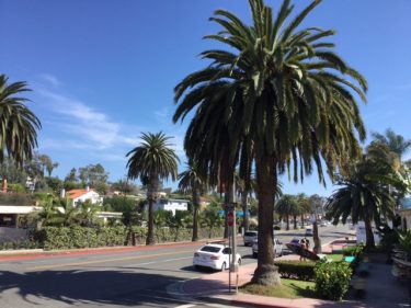 NPO法人シラスカリフォルニアとは