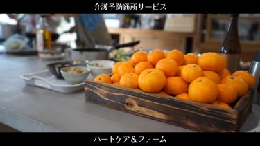 無料｜ビジネスショート動画｜介護通所サービス｜ハートケア＆ファーム
